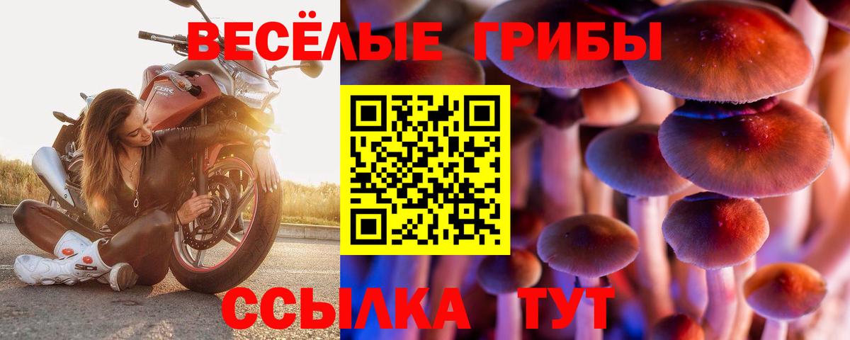 Псилоцибиновые грибы Psilocybine cubensis  Вход с VPN  Галлюциногенные грибы Magic Shrooms  Заречный 