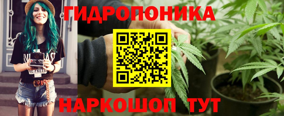 Марихуана White Widow  Вход с VPN  МАРИХУАНА марихуана  Заречный  Каннабис THC 21%  Канабис ГИДРОПОН 